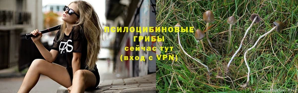не бодяженный Зерноград