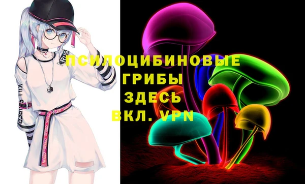 гашик Валдай